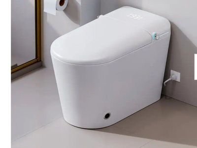 EriDanus Smart Toilet White *