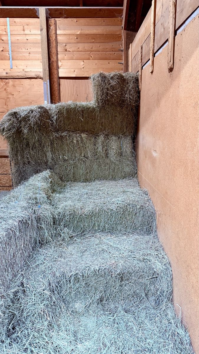 Grass hay