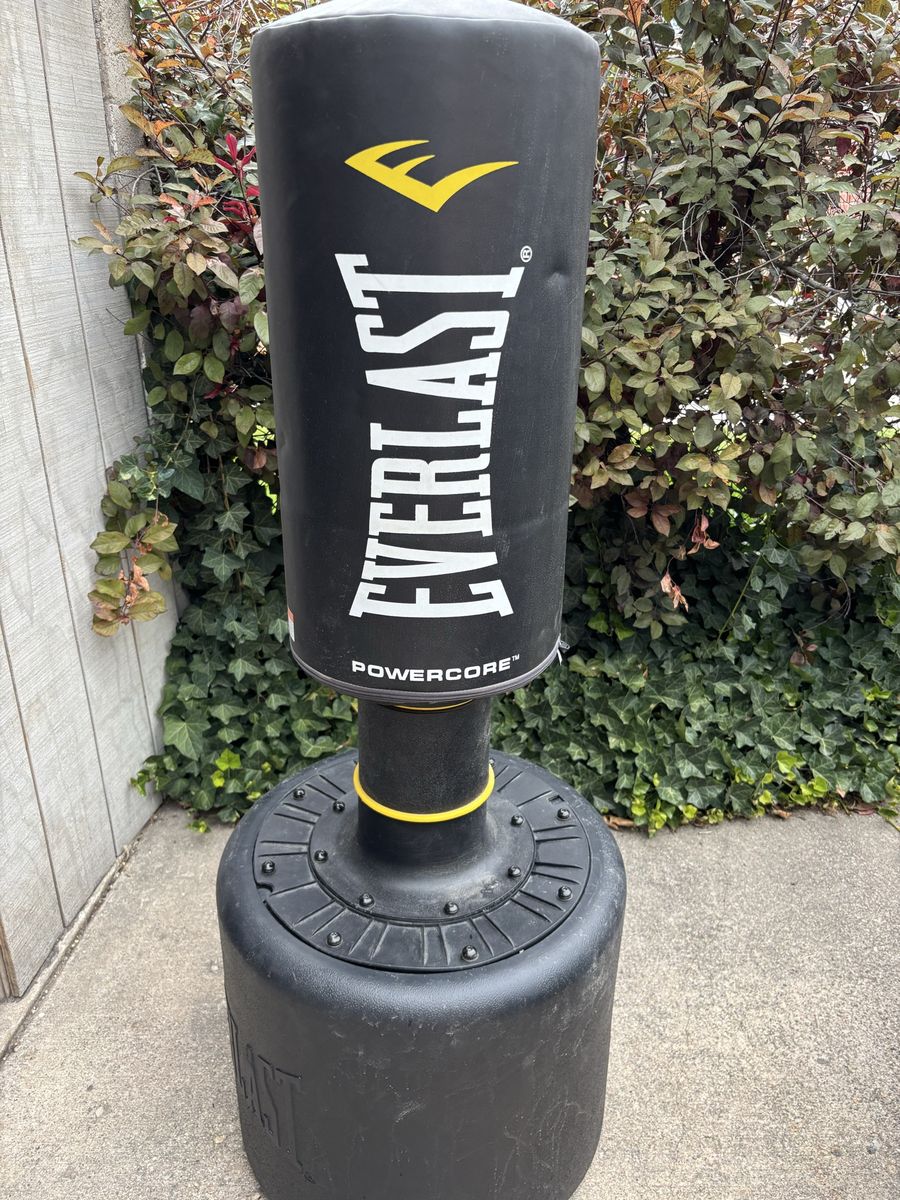 Everlast Freestanding Punching Bag