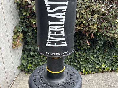 Everlast Freestanding Punching Bag