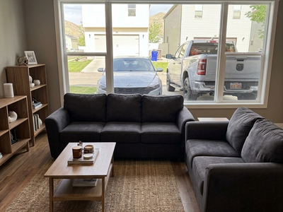 Sofie Grey Sofa & Loveseat Set