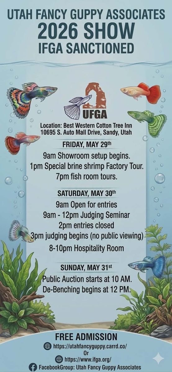 Utah Fancy Guppy Fish Show