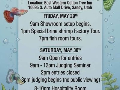 Utah Fancy Guppy Fish Show