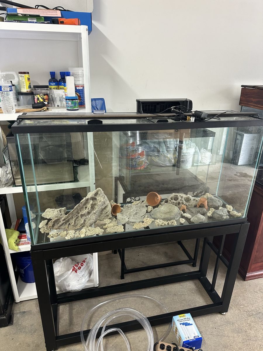 Fish Tank 60 gallons with accessories
