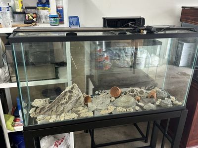 Fish Tank 60 gallons with accessories