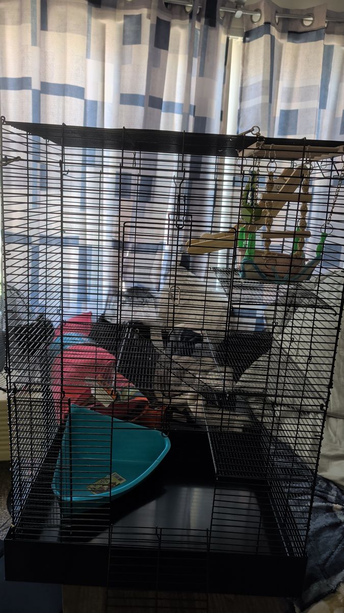 Rat Cage for Sale