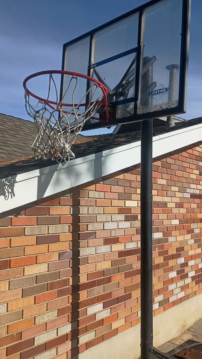 Baskeball Standard - Hoop