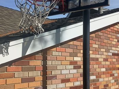 Baskeball Standard - Hoop