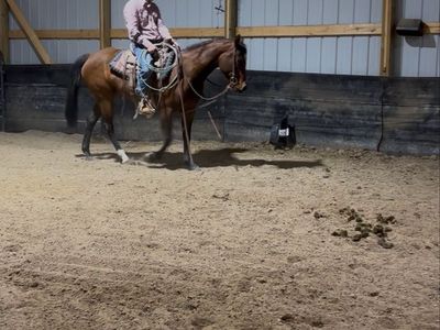 Horse training