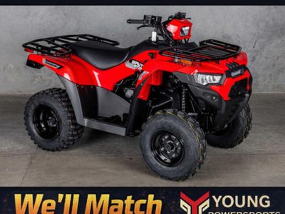 2026 Kawasaki Brute Force® 300