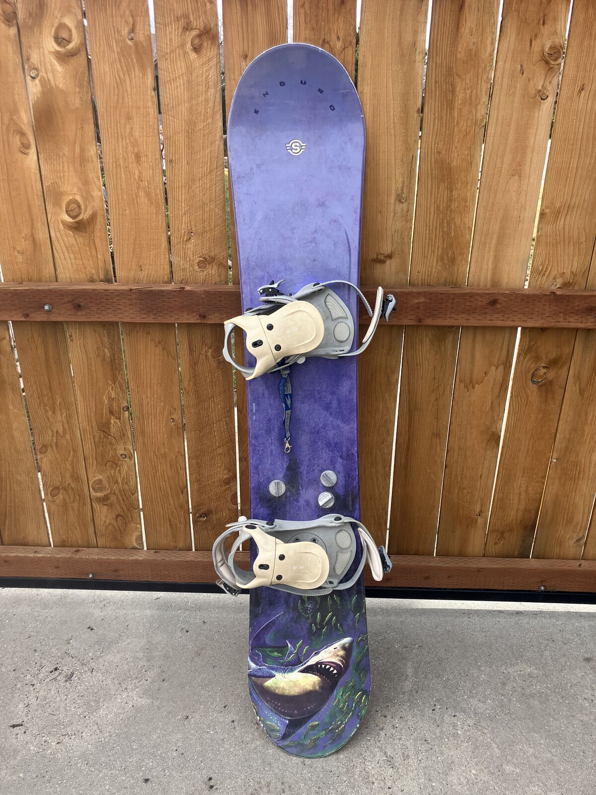 Sims Enduro snowboard