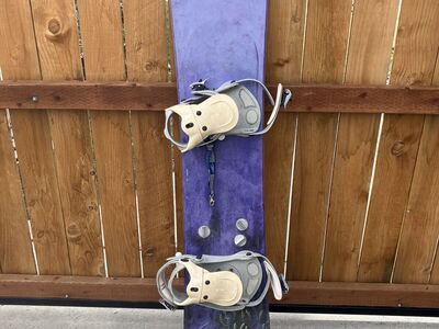 Sims Enduro snowboard