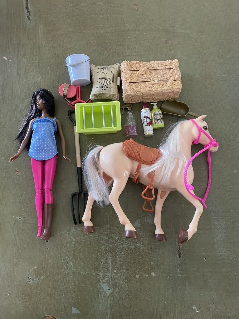 Equestrian Barbie with Horse & Accesories