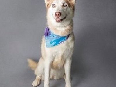 Hello my name is Chailey