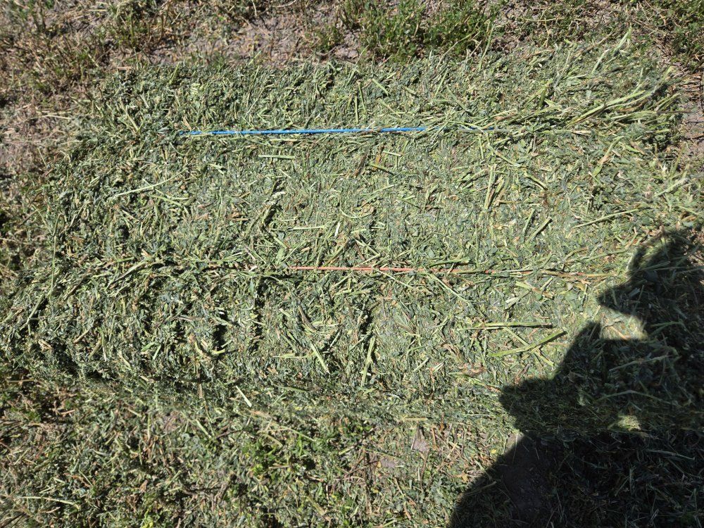 Main image 6