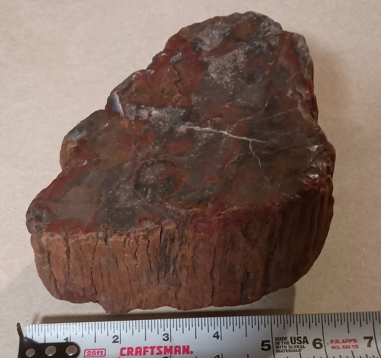 petrified wood