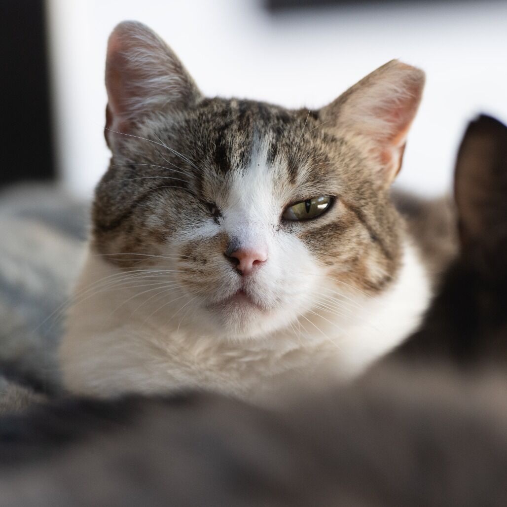 Hello my name is Kia