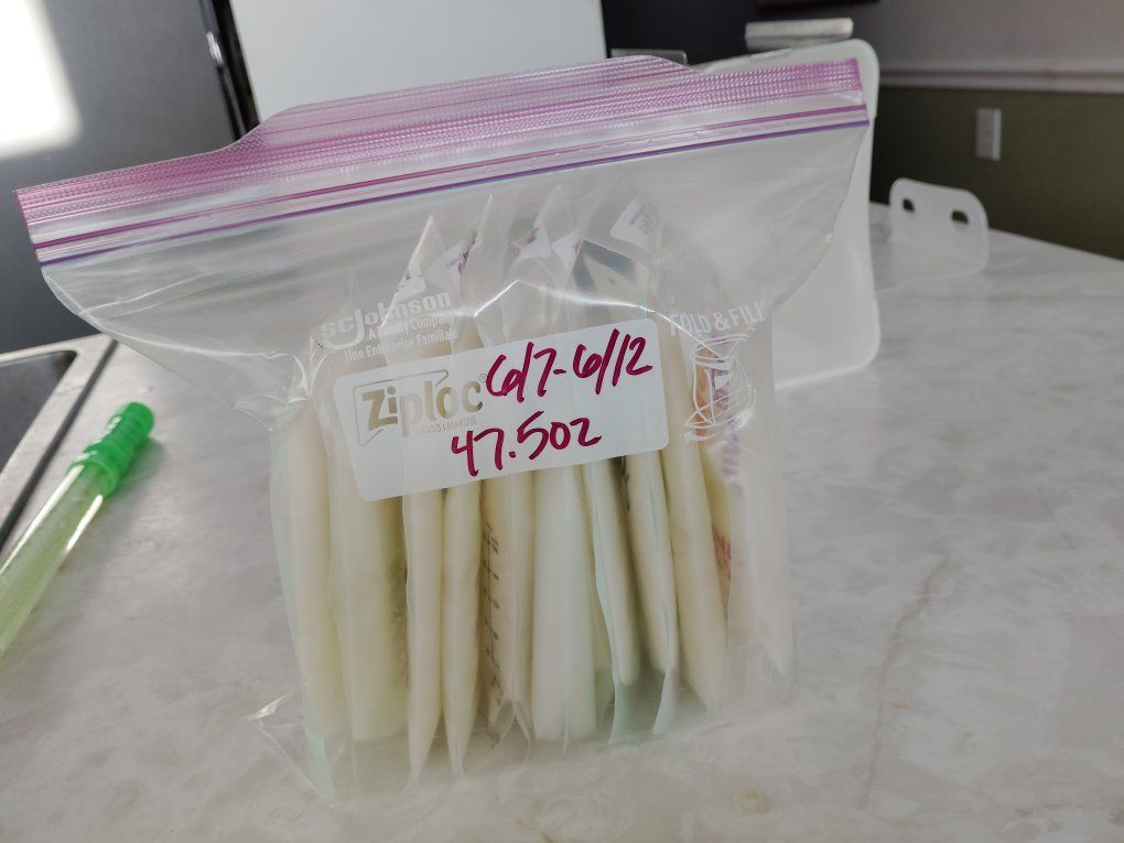 frozen breast milk