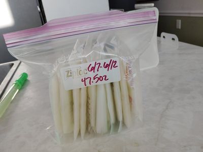 frozen breast milk