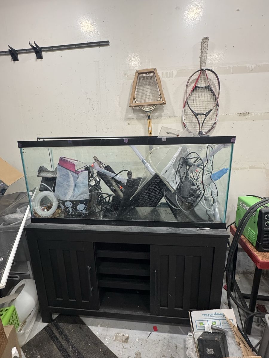 55 Gallon Aquarium