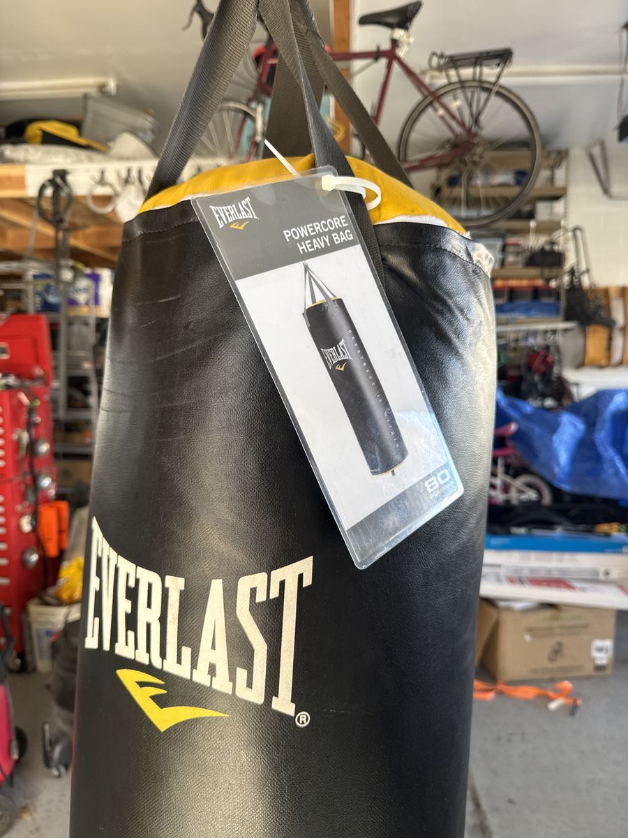 80 Lbs Everlast Punching Bag