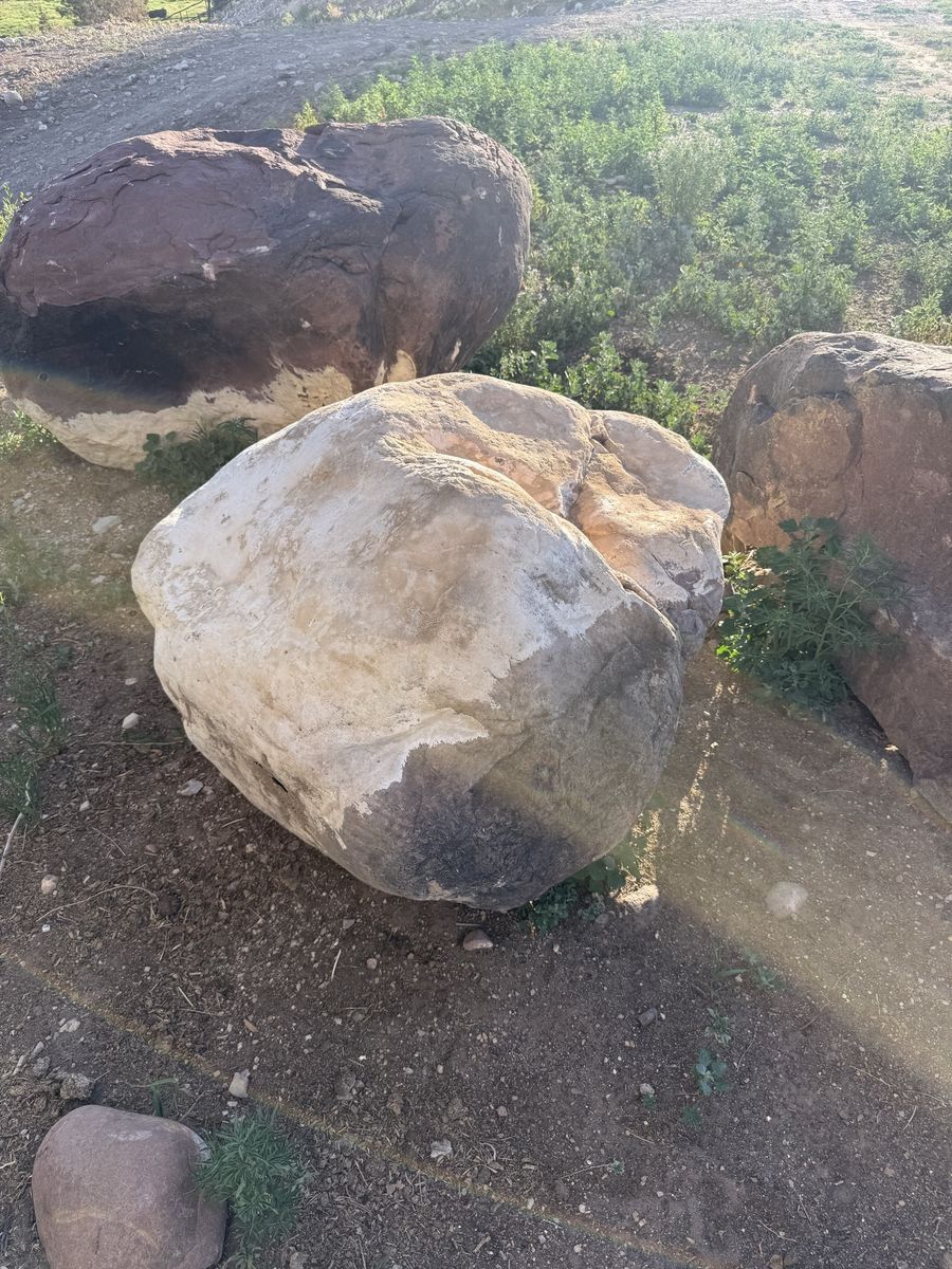 Main image 5