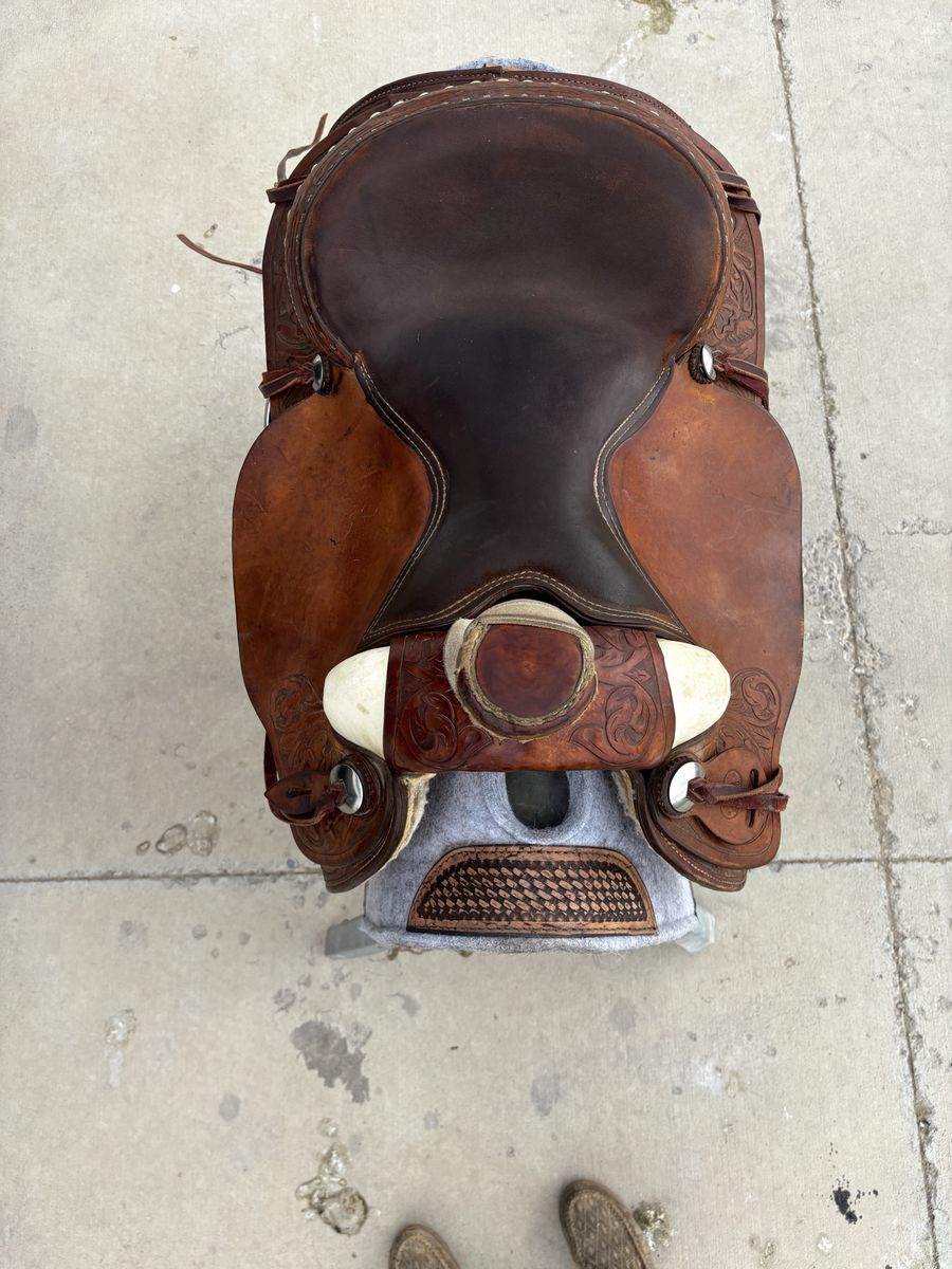 Lamb western saddle