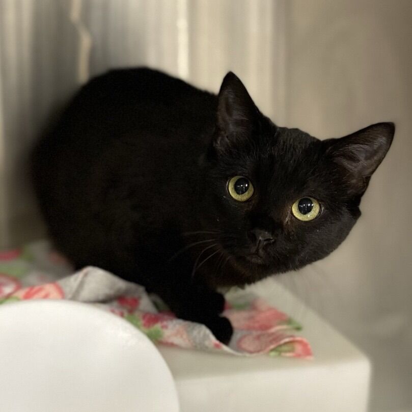 Hello my name is Edgar