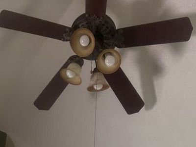 Ornate ceiling fan