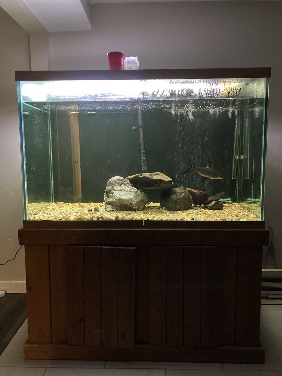 150 gallon fish tank