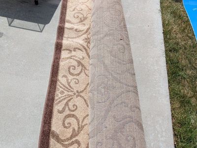 Area Rug