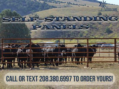 High-Quality Self-Standing Portable Panels