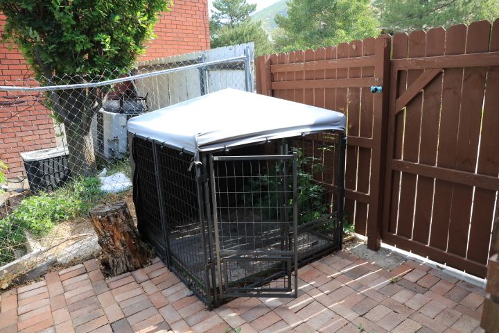 TOP PAW double door pet crate