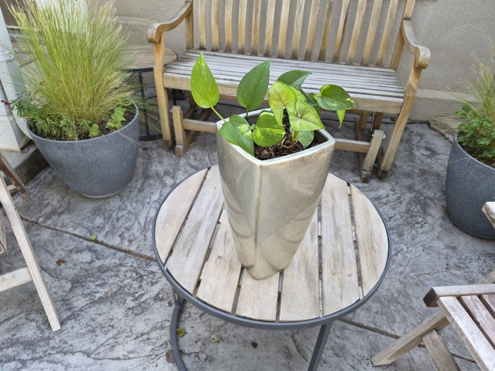 Main image 5