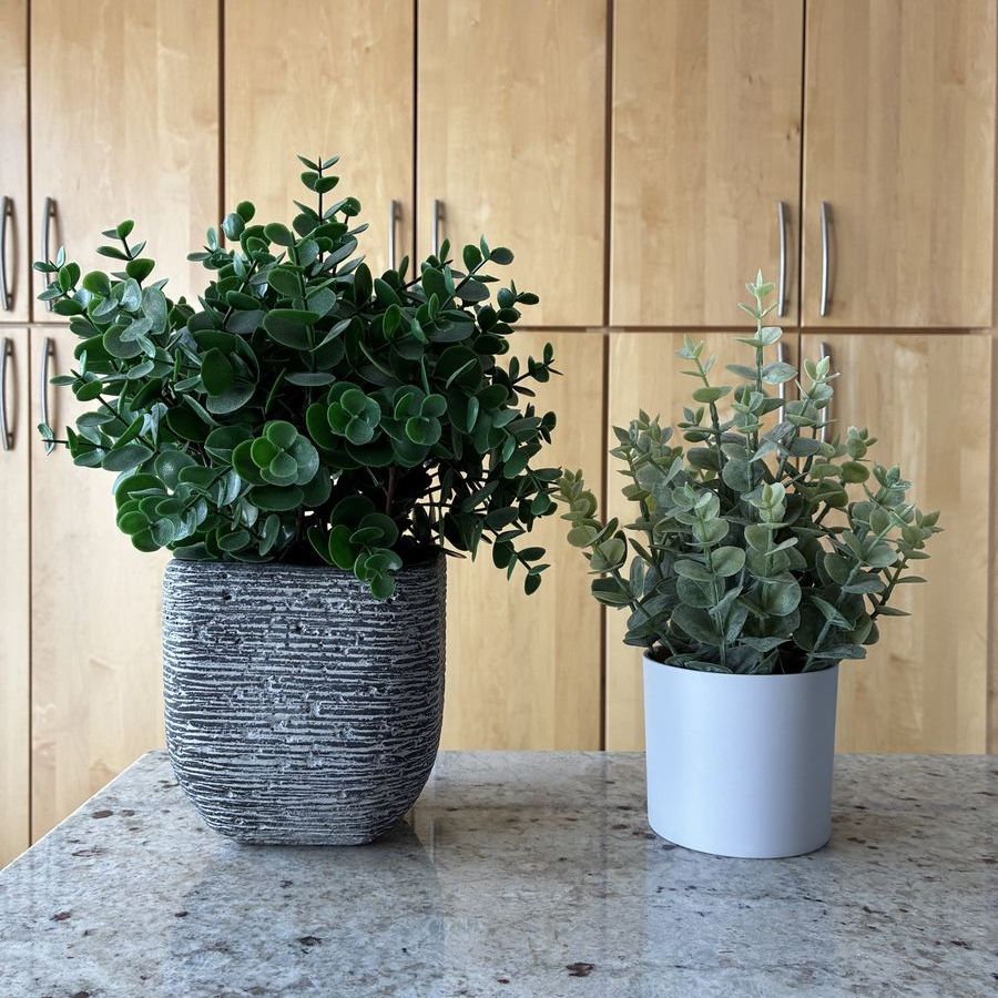 Set of 2 Artificial Eucalyptus Plants with Pots - Faux Greenery Decor
