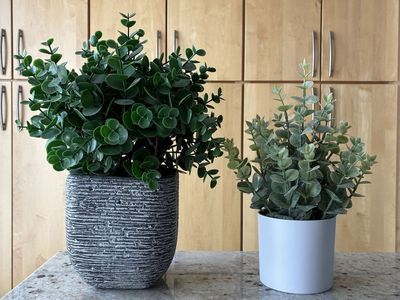 Set of 2 Artificial Eucalyptus Plants with Pots - Faux Greenery Decor