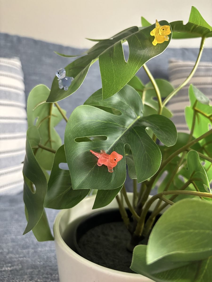 Cute Mini Lizard Plant Pet Magnets - 2 pack - Lots available