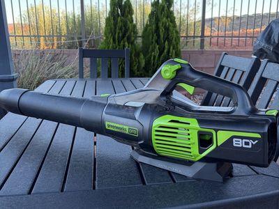 Greenworks Pro 80V Brushless Cordless Leaf Blower, Charger included, Battery is dead. Fully functional needs battery.