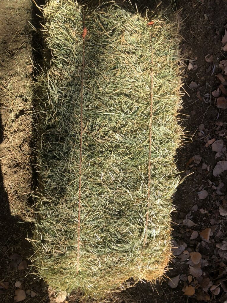 Quality Alfalfa Hay