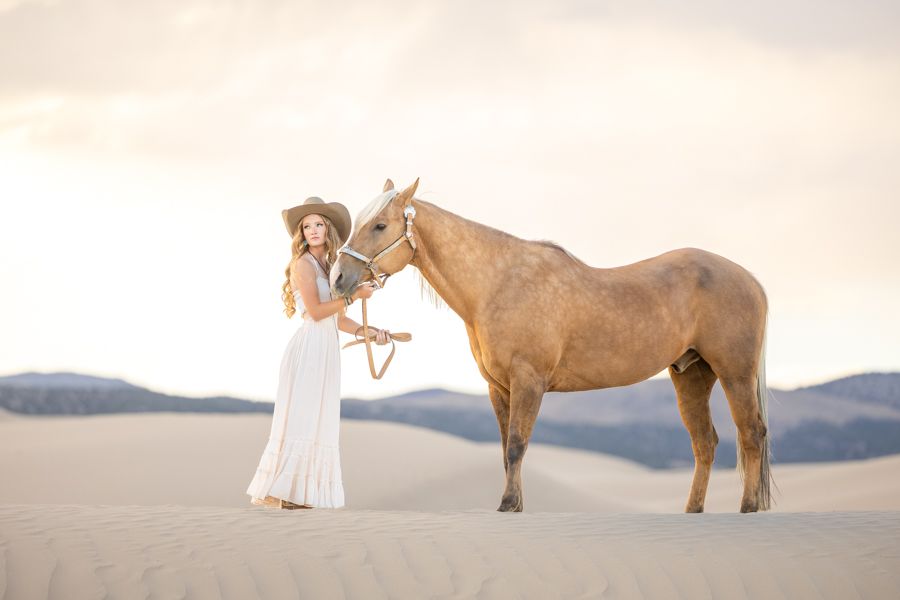 18 Year old Grade Palomino Gelding