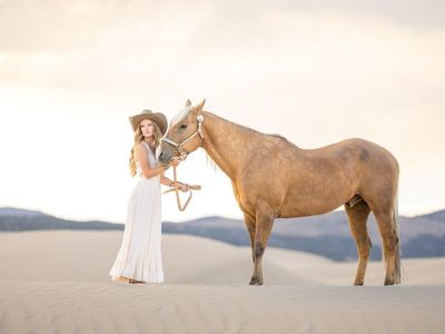 18 Year old Grade Palomino Gelding