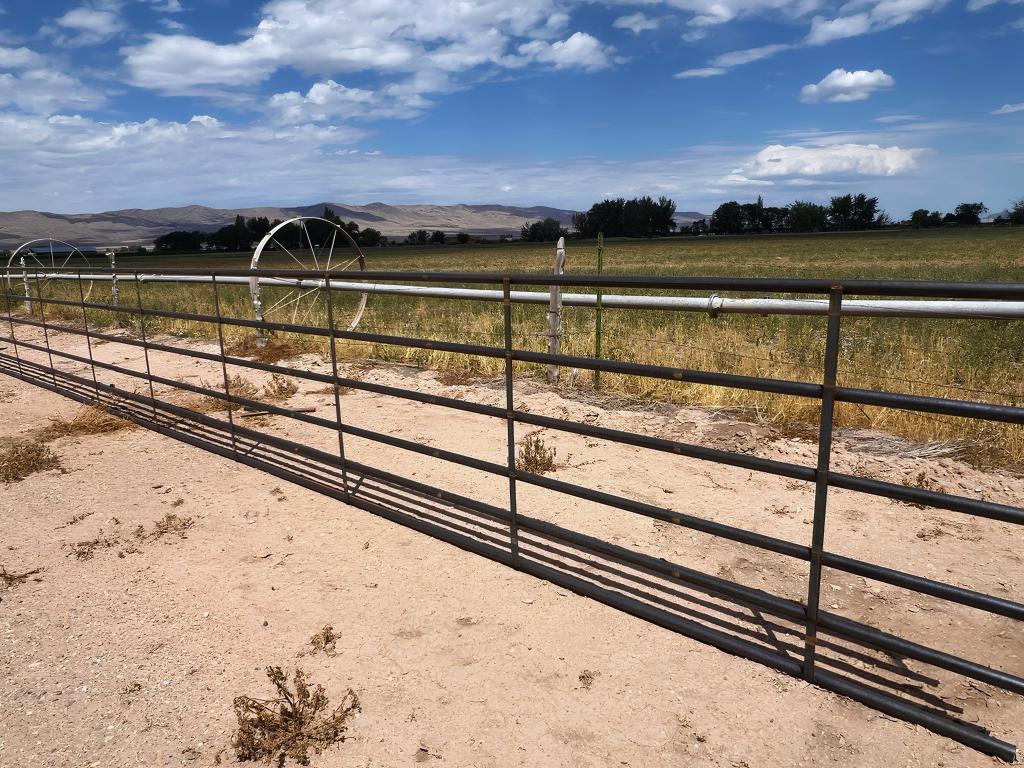 HEAVY-DUTY 6 Rail Continuous Fence Panels (1-5/8"x48" Graduated Spacing)