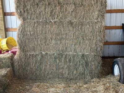 3x3 grass alfalfa mix