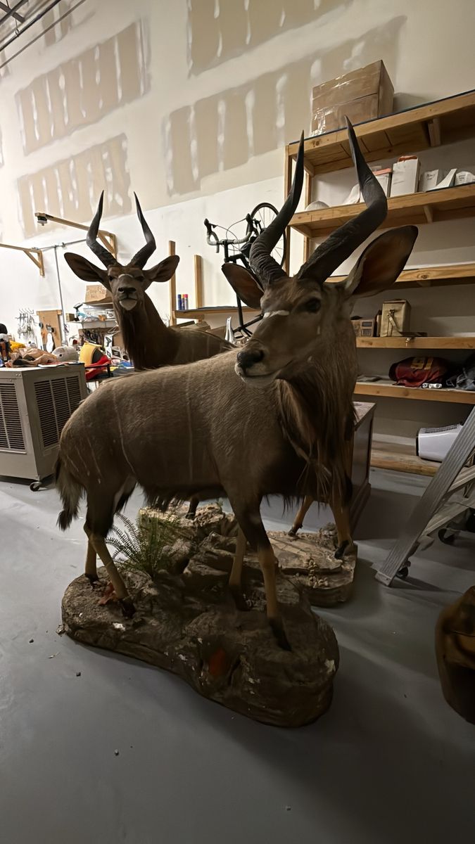 Main image 6