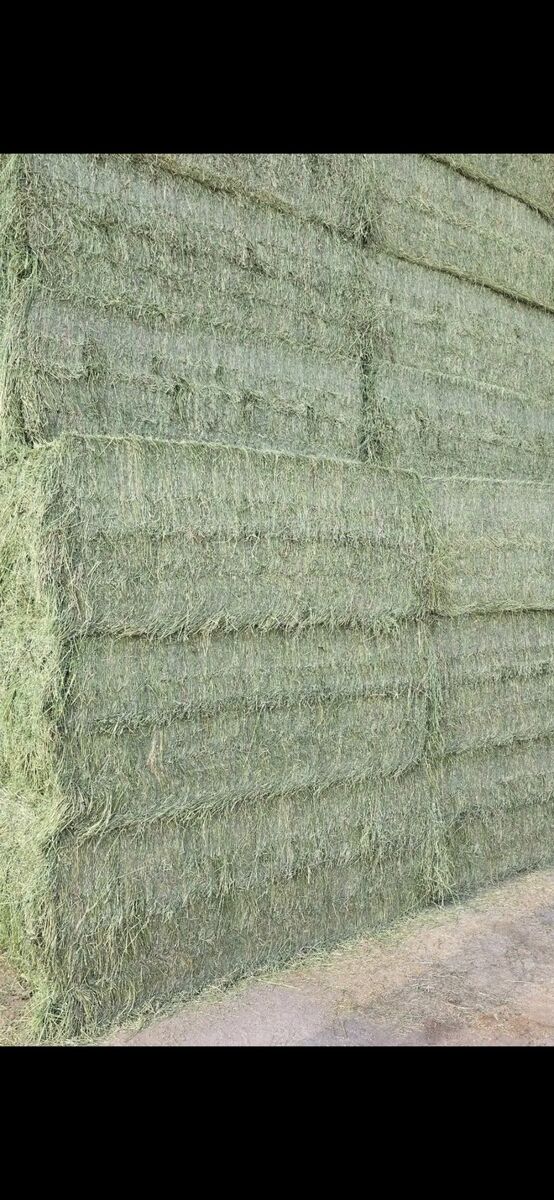 Hay for sale