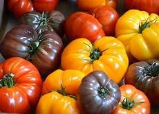 Tomatoes, Peppers, Eggplants