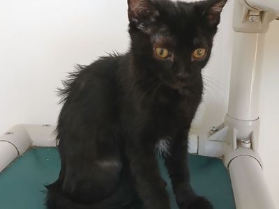 Hello my name is Marathon