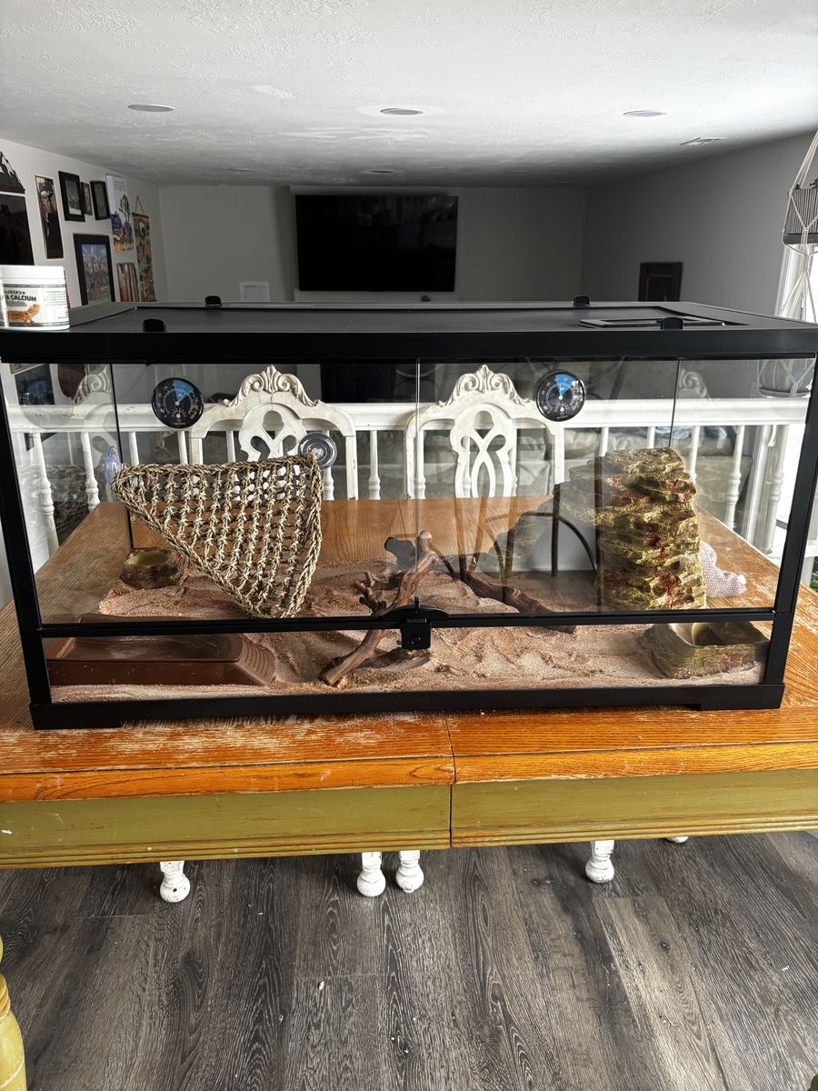 40 Gallon Front Opening Bearded Dragon Tank Setup