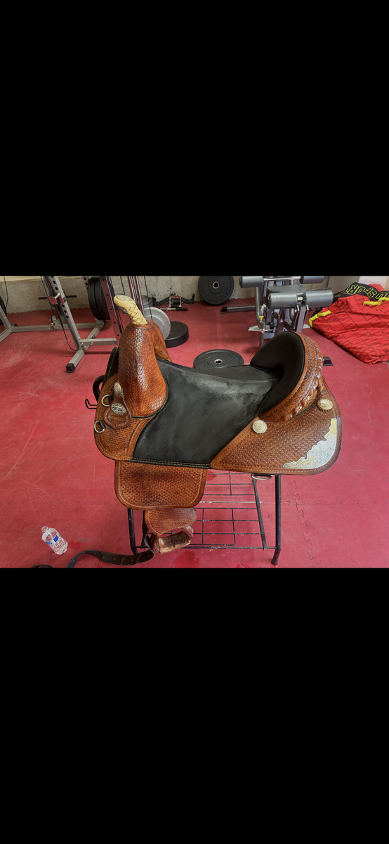 Bob Marshall treeless saddle