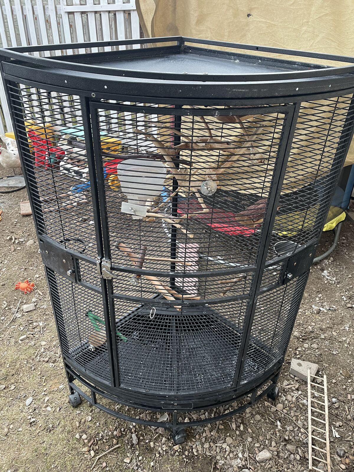 Large Corner Bird Cage / Aviary – Steel Construction – Fully Equipped